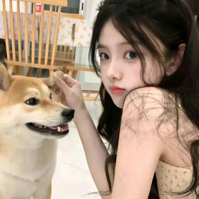 我被豪门继承人包围了